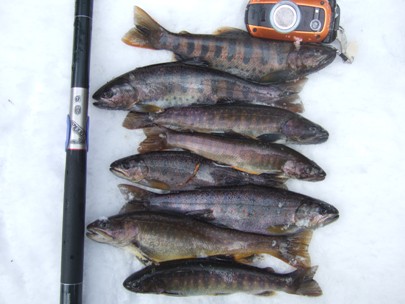 ��������ꂽ�E�E