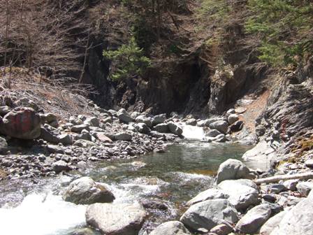 �R�N�Ԃ�̐l�C�͐�