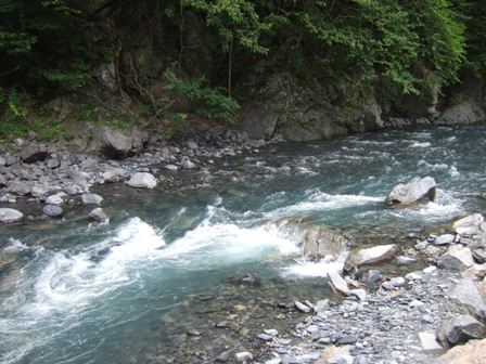 �R�N�Ԃ�̕s�l�C�͐�