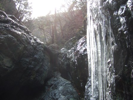 ��͂蓀����Ă���