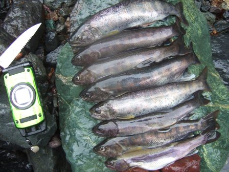 �y�Y���m��