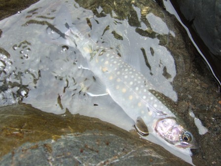 �{���P����