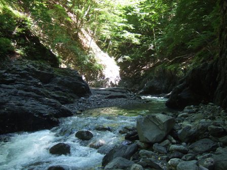 �ނ��̌k��