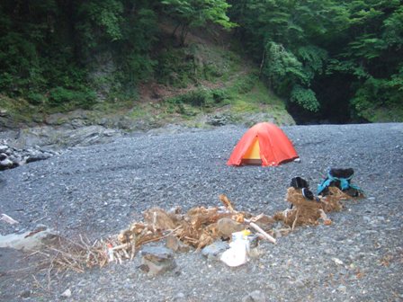 �e���o�̗l�q