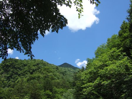 �Ō�܂ŉ���