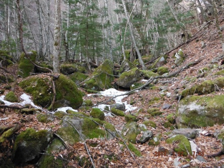 ���N�Ԃ�̎R