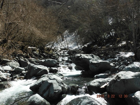 �܂���[��������