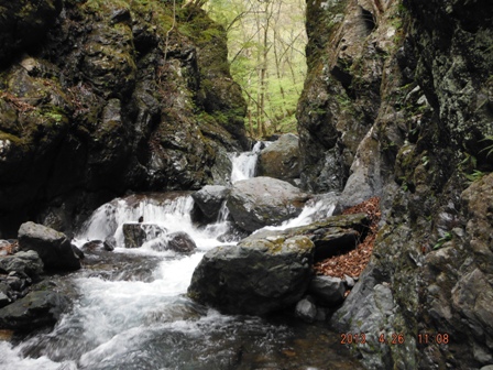 ���݂̑k�s���E�G���A