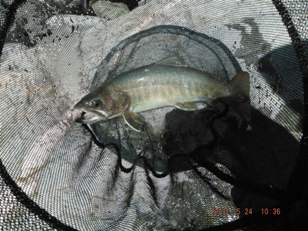 �����Ȃ�ǌ^