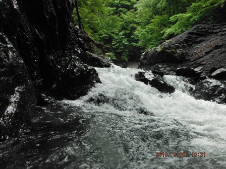 ���ʑ���