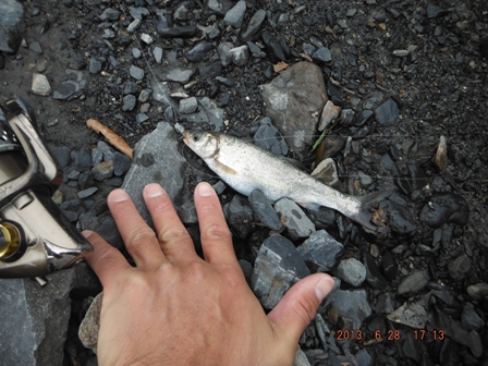 ���̂Ƃ��߂���Ԃ�