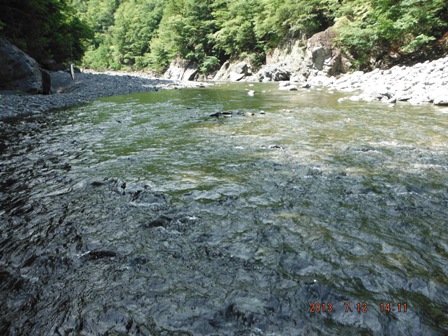 ���N�Ԃ�̃G���A