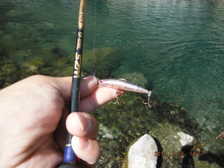 �ǂ��ɋ���̂��낤