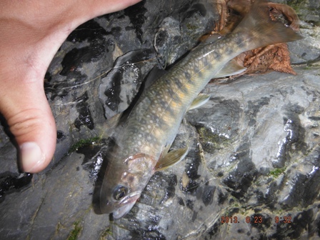 �L�[�v�T�C�Y���ނ�Ȃ�