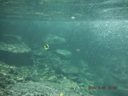 �ǂ��ɋ���̂��낤