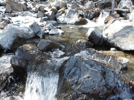 �ǂ��ɋ���̂��낤