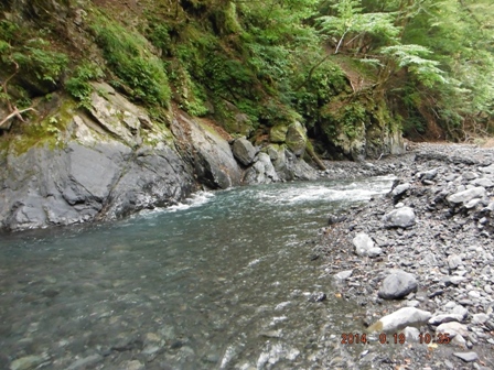 �v���Ԃ�̏H�̌k��