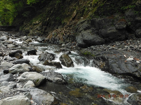 �D�|�C���g�������Ă���