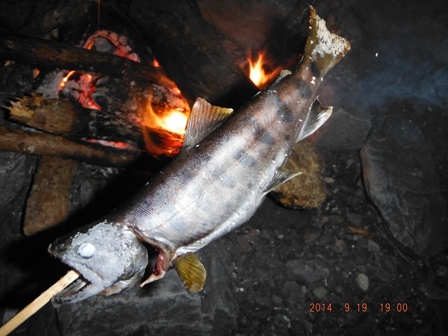 �����̖��킢