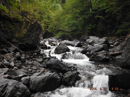 �����̌k��