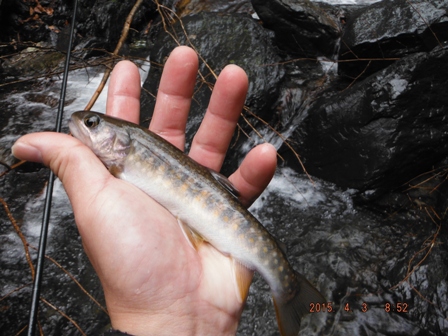 ���G���C���i�f�d�s