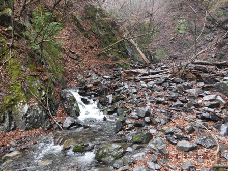 ��₠�ꂽ�����̏��k