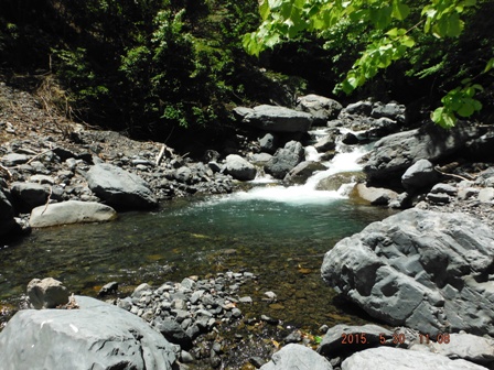 �����̉�