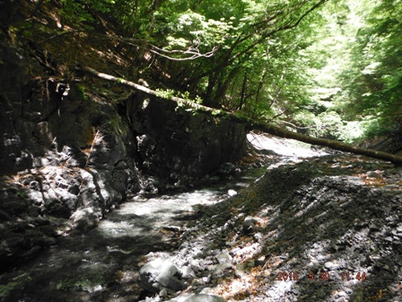 ����ł������̋A��