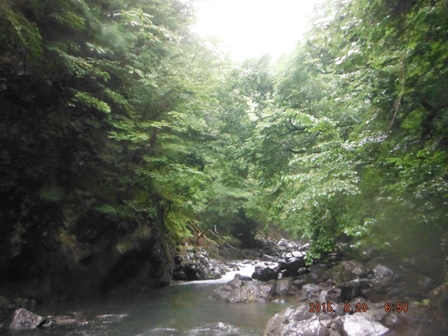 �Ђ�����~�葱����