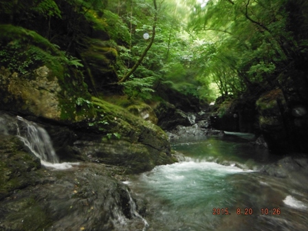 �����܂ŉJ