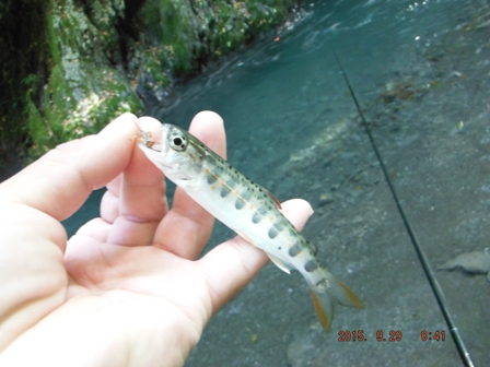 �t�������{��