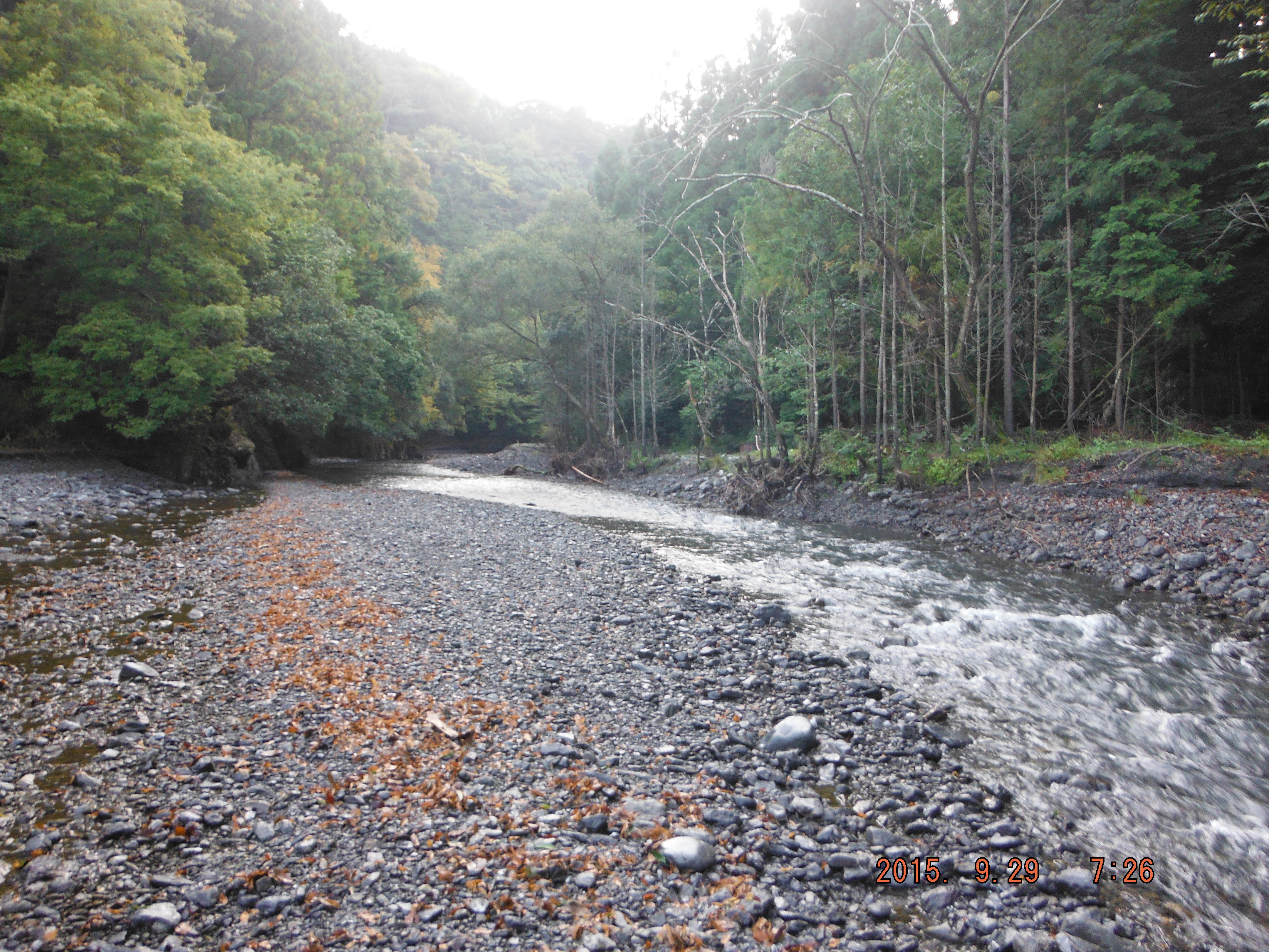 ���߂Ă̕��͋C