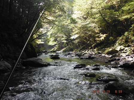 �d����������