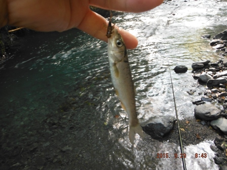 �ނꂿ�܂�����