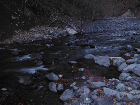 �R�N�Ԃ�̂h��