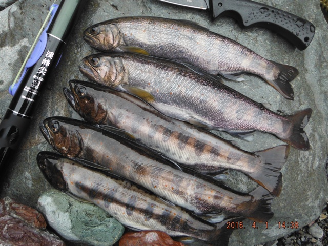 ���ɂ����֗���͉̂��N�ゾ�낤��