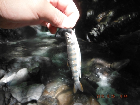 �{�����g�h�s