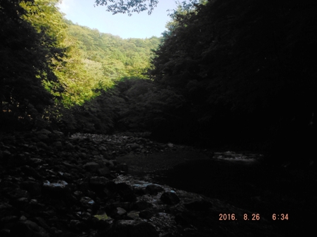 �r�͓�������