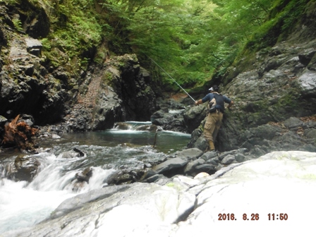 �Ή�����