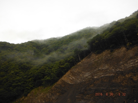 ���΂Ƃ��o�Ă��Ȃ����낤��