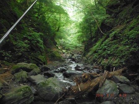 �Ȃ��Ȃ��̌k��