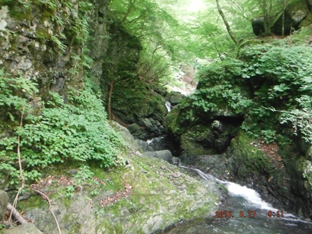 �ӊO�ƍD�ނ�ꂾ