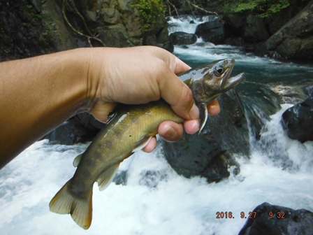 �W���T�C�Y�́�"