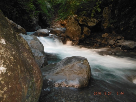 ���ʖL�x�ȗl�q