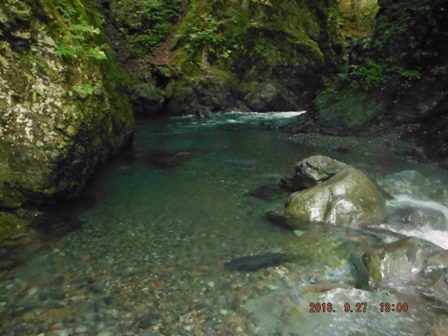 ���ʖL�x�ȗl�q"