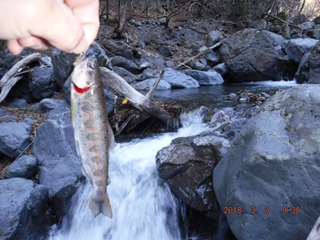 �������m�炵��