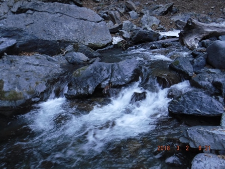 ��C�������Ă���