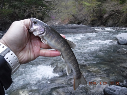 �C���i������