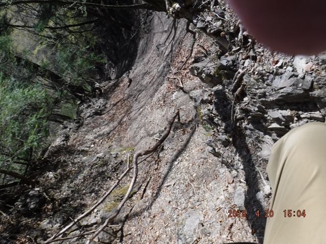 ���������Ȃ�