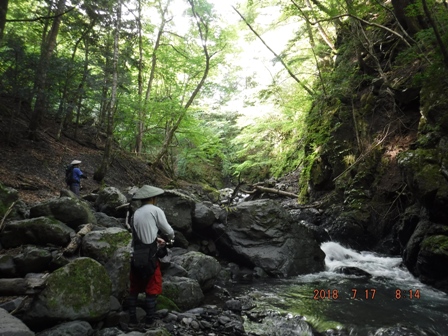 ���X�Ɋ���Ă���